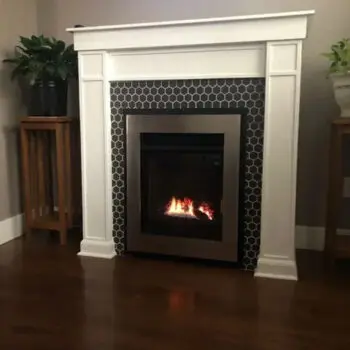 Fireplace with decorative plants nearby